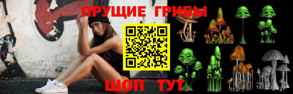 Псилоцибиновые грибы Psilocybe Россия